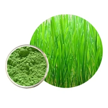 Chất lượng cao bột cỏ Barly